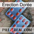 Érection Dorée 05